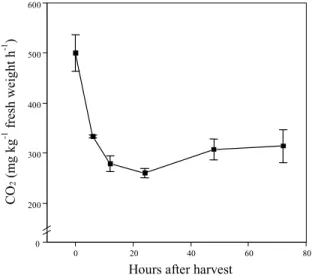 FIG. 3. Respiration of broccoli florets during storage in the dark at 25 o C and 96% relative humidity