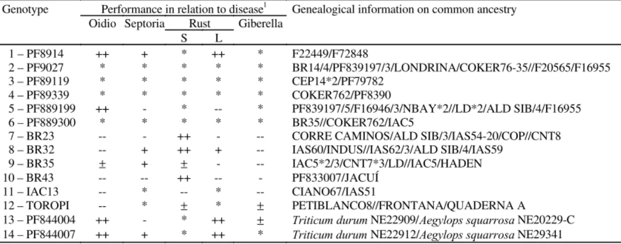 TABLE 1. Wheat performance in relation to diseases and genealogical information on the genotypes investigated (Embrapa-CNPT).
