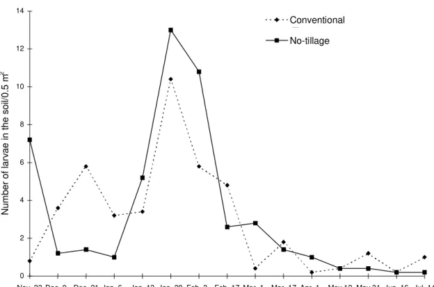 FIG. 1. Variation of the Phyllophaga cuyabana larvae population in the soil, in soybean fields maintained under two soil management systems: no-tillage and conventional (one disk plow and one leveling harrow)