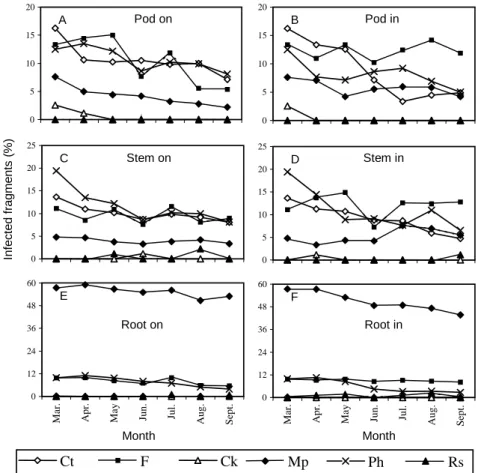 Figure 1. Percentage of incidence of Colletotrichum truncatum (Ct), Fusarium spp. (F), Cercospora kikuchii (Ck), Macrophomina phaseolina (Mp), Phomopsis sp