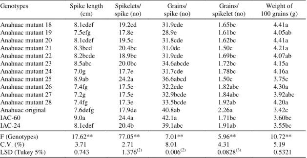 Table 8. Mean data for spike length, number of spikelets per spike, number of grains per ear and per spikelet and weight of a hundred grains for the wheat genotypes analyzed in the experiments at Monte Alegre do Sul in 1994 (1) .