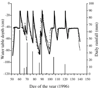 Figure 2.  Observed (    ) and simulated (           ) water table during the 1996 potato growing season.