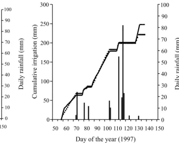 Figure 4.  Observed (      ) and simulated (          ) water table during the 1997 potato growing season.