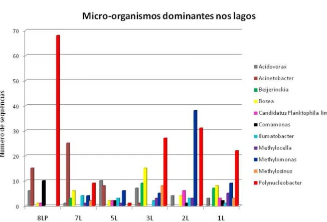 Figura 11 - Diversidade microbiana nas amostras de lagos com mais de 95% de similaridade com  sequências do banco de dados Ez Taxon 