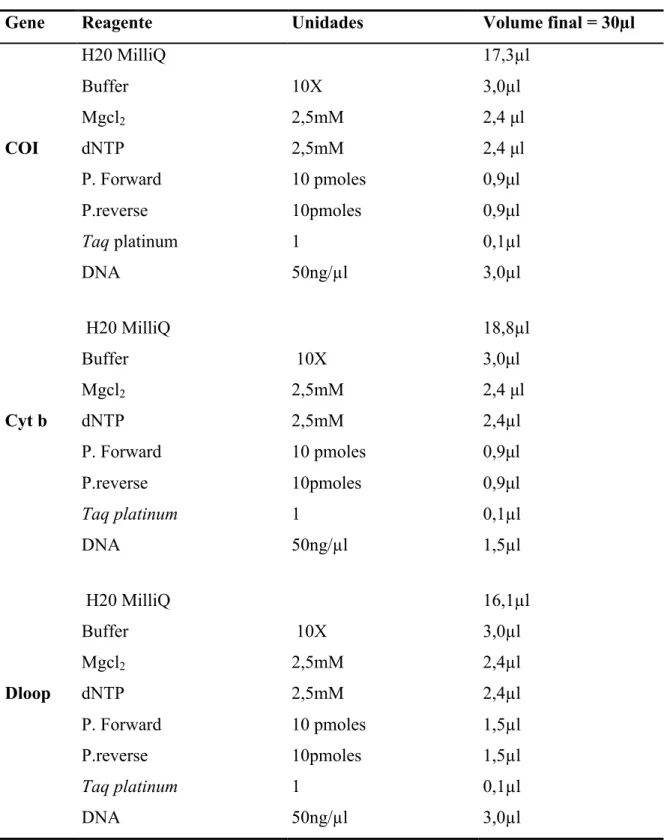 Tabela 4 - Condições de amplificação para os três regiões do mtDNA analisados 