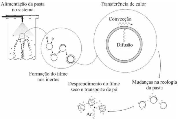 Figura 2. 3 - Mecanismo da secagem de pastas com partículas inertes no leito de jorro