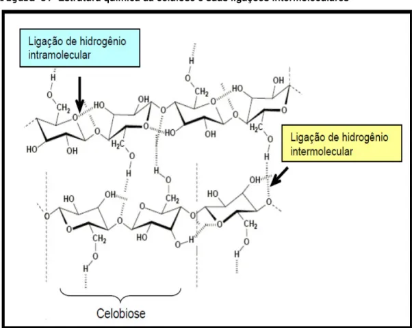 Figura 3: Estrutura química da celulose e suas ligações intermoleculares 