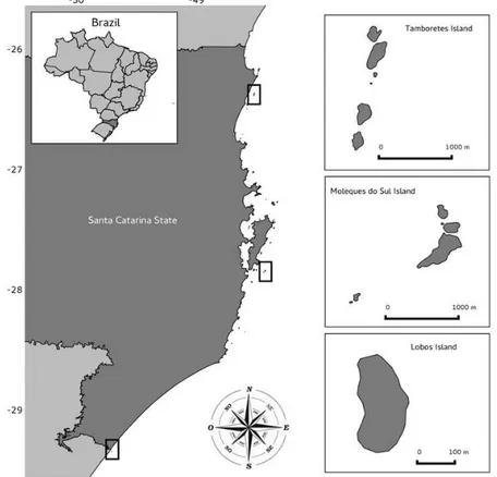 Fig. 1. O mapa mostra as três ilhas onde foram conduzidas as pesquisas, localizadas na costa  de Santa Catarina, sul do Brasil