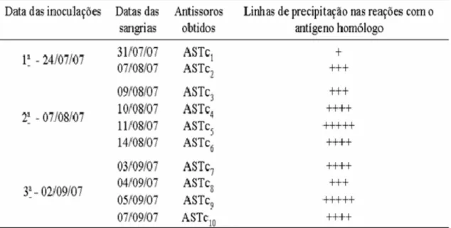 Tabela III. Inoculações de antígeno no coelho; Datas das sangrias realizadas para  obtenção de antissoros; antissoros obtidos e número de linhas de precipitação  observadas nos testes serológicos