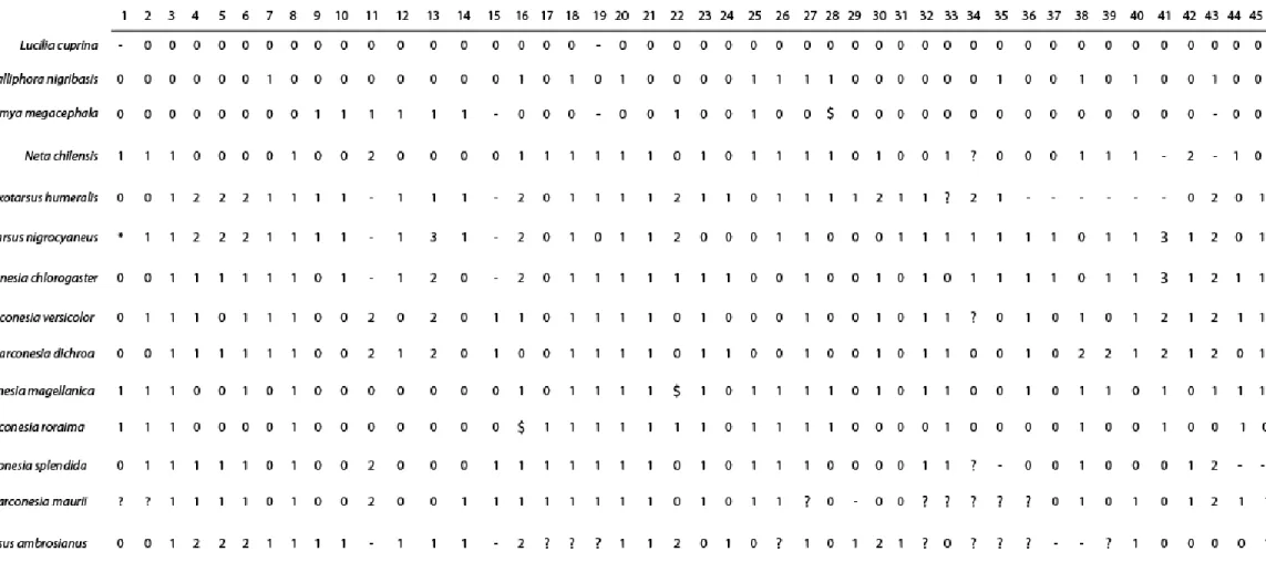 Tabela 3. Matriz de caracteres  