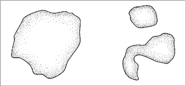 Figura 18. Influência da complexidade da forma do fragmento sobre a área exposta  aos efeitos de borda