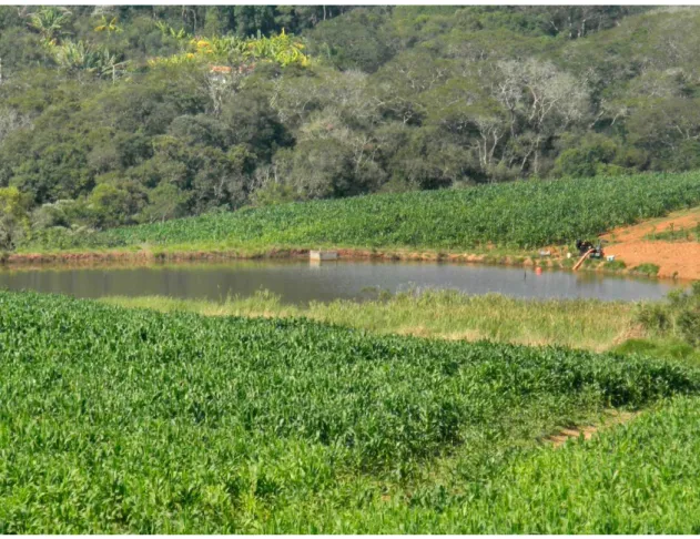 Foto  4:  Represamento  para  irrigação  das  lavouras  de  hortaliças.  Setor  da  média  bacia  do  Ribeirão Fazenda Velha (LORCA NETO, R.O
