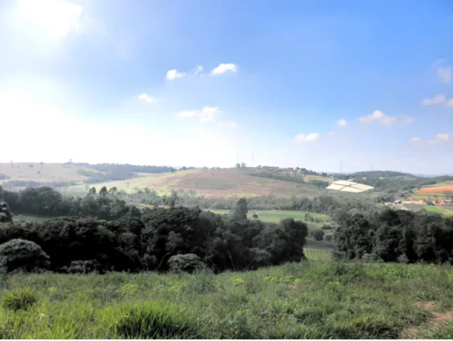 Foto  5:  Setor  da  baixa  bacia  do  Ribeirão  Fazenda  Velha.  Altitudes  entre  855  à  880  metros  (LORCA NETO, R.O