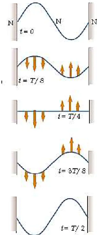 Figura 2.16  –  Fotos instantâneas de uma onda em uma corda num intervalo de tempo igual a T/2.