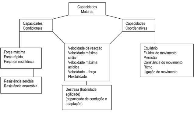 Figura 1 – Divisão das capacidades motoras (adaptada de Grosser, 1983). 