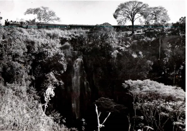 Figura 12: Fotografia tirada da Cachoeira de Altinópolis, na década  de 1930. Passagem do trem sobre o córrego Mato Grosso