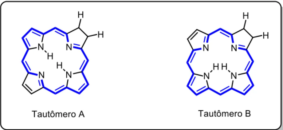 FIGURA 8: Estruturas de ressonância de clorinas do tipo base-livre. 