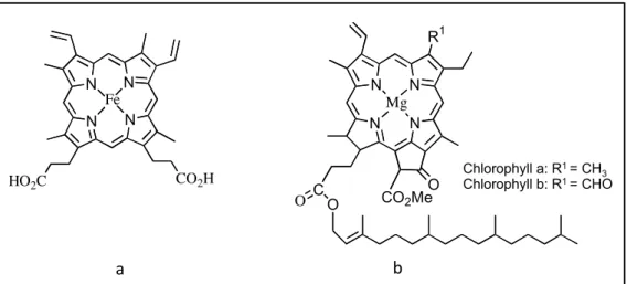 Figure 1.3 Natural tetrapyrrolic macrocycles: a) Heme, b) Chlorophyll. 
