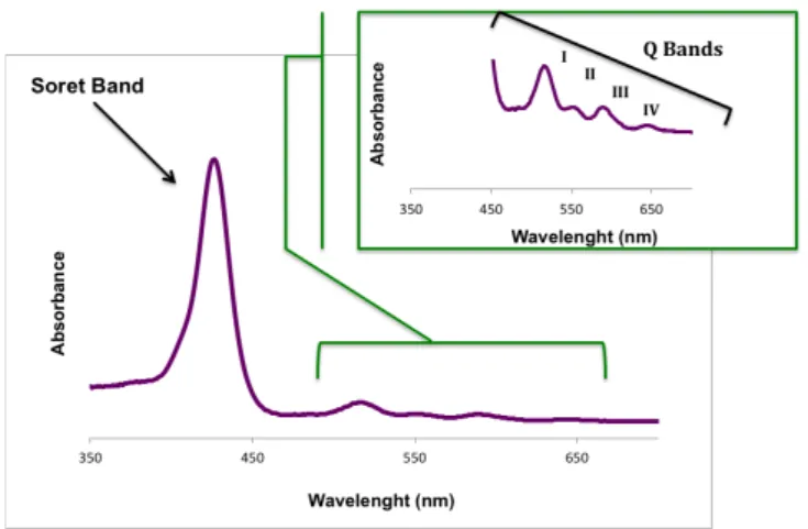 Figure 1.6 UV-vis spectra of porphyrin derivatives. 