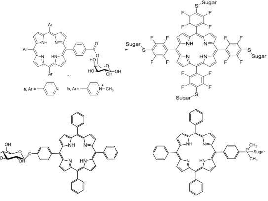Figure 2.1 Some glycoporphyrins derivatives already synthesized. 