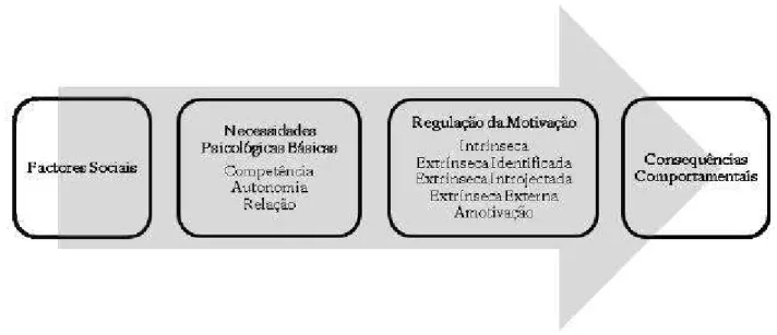 Figura 1: Sequência Motivacional subjacente à SDT (retirado: Pires, Cid, Alves, Borrego, &amp; Silva, 2010, p.34) 