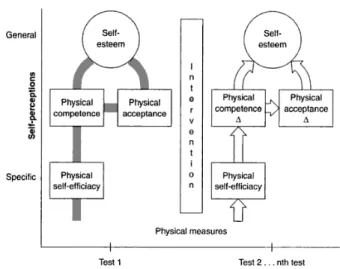 Figura 2: Exercise and Self-Esteem Model de Sonstroem e Morgan (1989) 