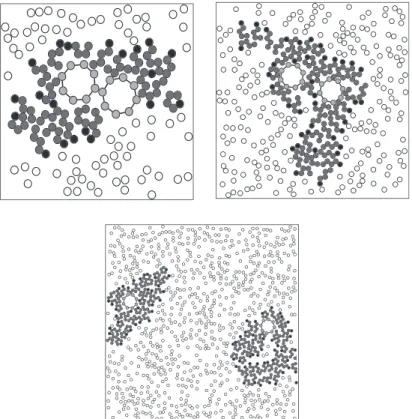 Fig. 10. Structures formed in equilibrium. Left: 60 amphiphilics, right: 100 amphiphilics, bottom: 180 amphiphilics.