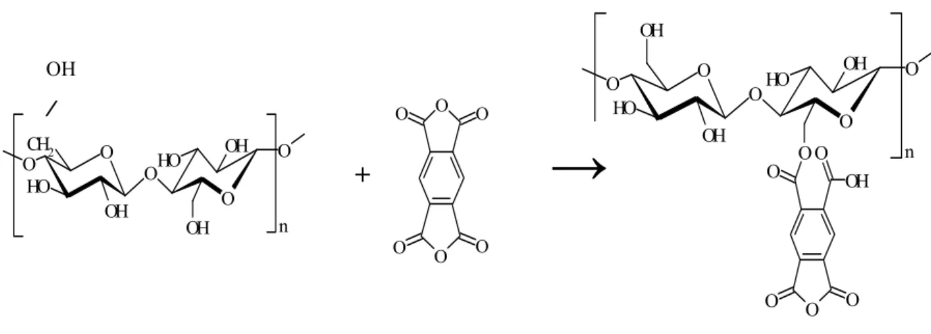 Fig. 5.2: Reação de esterificação entre o mero celobiose (formador da estrutura da celulose)  e o dianidrido PMDA