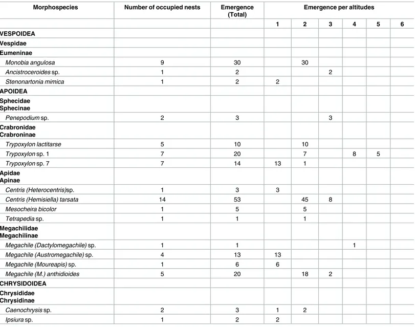 Table 1. List of Aculeata morphospecies found occupying trap nests at different altitudes in the Carac¸a Mountains, Brazil.