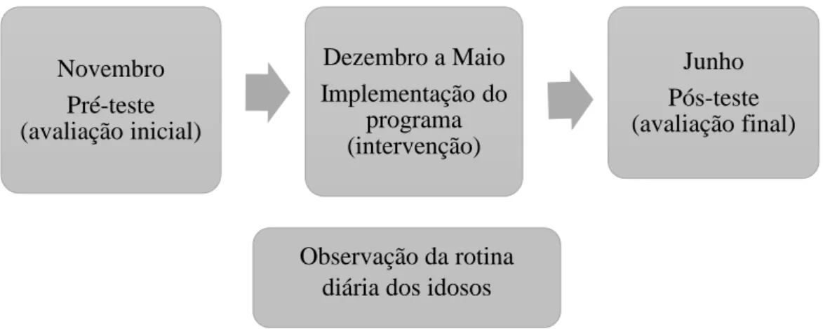 Figura 1- Fases do estudo de intervenção
