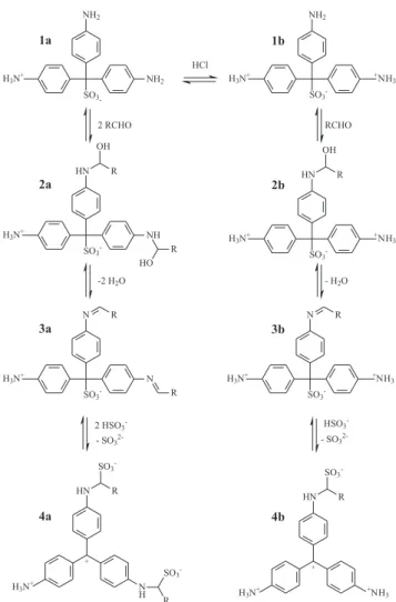 Figura 1. Mecanismo da reação da formação do aduto de Schiff: (1) Formas  do Reagente de Schiff; (2) Intermediários carbinolamina formados pela adição  do aldeído; (3) Intermediários imina formados por desidratação; (4) Adutos  de Schiff formados mediante 