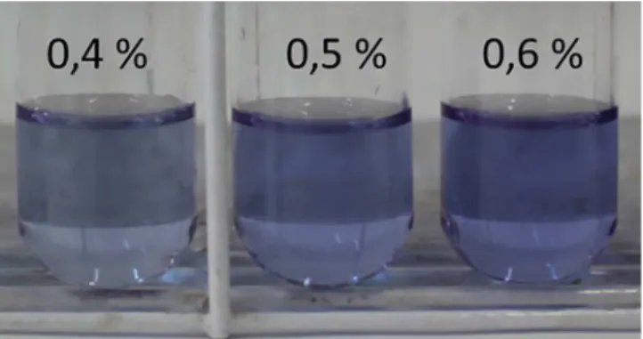 Figura 5. Aplicação do teste para identificação de metanol em álcool etílico  anidro extraído de amostras de gasolina C, onde a esquerda uma amostra  isenta de metanol e à direita uma amostra com 50% de metanol/etanol do  total de 20% de álcool anidro adic