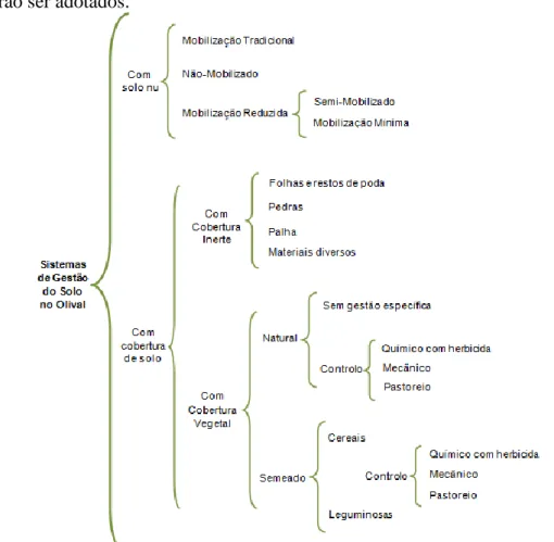 Figura 1. Esquema de diferentes sistemas de gestão do solo que se podem empregar no olival (Adaptado de: 