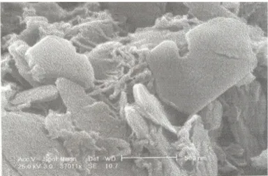 Figura 3.5. Imagem de microscopia electrónica de varrimento de caulin ite  (Churchman et al., 1972)
