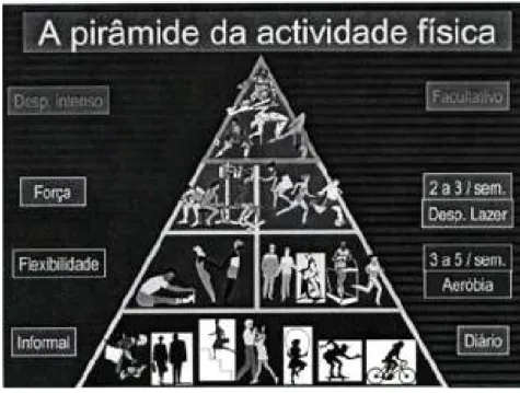 Figura 5 – Pirâmide da actividade física (Adapt. Barata, 2003) 