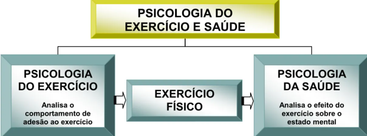 Figura 9 – Paradigmas de intervenção da psicologia do exercício e saúde 