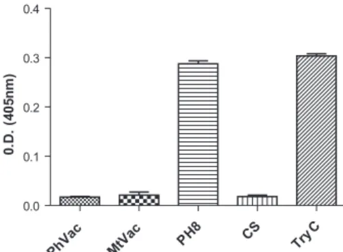 Fig. 3: evaluation of proteolytic activity using BApNA as substrate. 