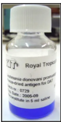 Figura 2: Antígeno liofilizado e congelado              Figura 3: Antígeno diluído para uso utilizado no Teste de Aglutinação Direta