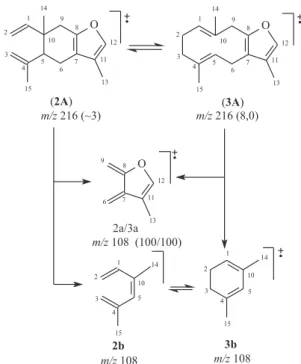 Figura 6. Proposta de fragmentação para as substâncias 2 e 3 e as abun- abun-dâncias relativas indicadas entre parênteses