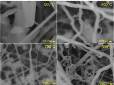 Figura 2. Imagens por microscopia eletrônica de varredura de nanofios de  germânio crescidos a partir do cobre, sintetizados em diferentes temperaturas