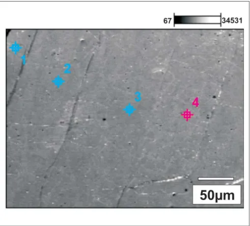 Figura 3 - Imagem e pontos de contagem do MEV/EDS para o fragmento de meteorito.