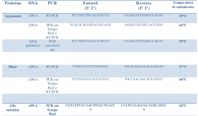 Tabela  2:  Tabela  de  Primers.  Primers  utilizados  em  diversas  reações  de  PCR  com  diferentes temperaturas de anelamento