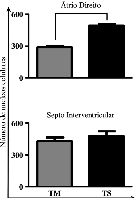 Figura 8 - Análise morfométrica do número de núcleos celulares realizada no foco inflamatório em  cortes  histológicos  corados  pela  Hematoxilina  e  Eosina  do  átrio  direito  (AD)  ou  do  septo  interventricular  (SI)  de  cães  infectados  por  form