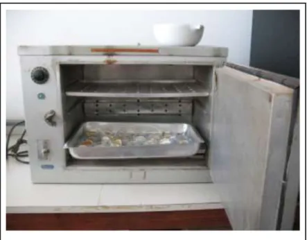 Figura 3.16  –  Filtros com o material particulado em suspensão na estufa para secagem