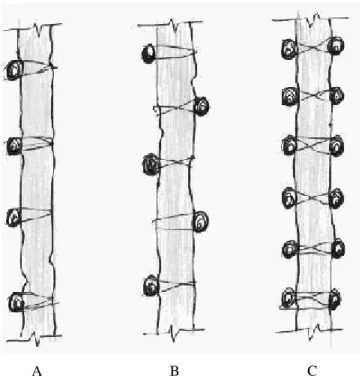 Figura 3.6 - Detalhe do modo de colocação das varas. (A) Varas de um lado.   