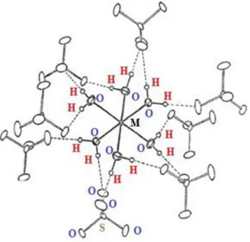 Figura  4.  2:  Coordenação  do  sítio  de  níquel  por  moléculas  de  água  e  disposição  das  ligações de hidrogênio O –H•••O (linhas tracejadas) na estrutura do sal de Tutton.