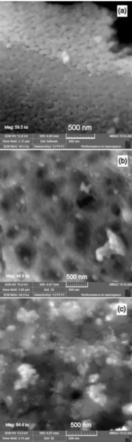 Figura 3. Microscopia eletrônica de varredura das amostras calcinadas a  700 °C: (a) CaFe, (b) CoCaFe01, e (c) CoCaFe02