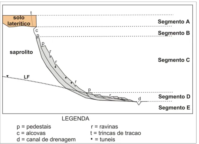 Figura 3.1 Esquema de típico talude instável das voçorocas do Complexo Bação (Bacellar &amp; Morais 2005)