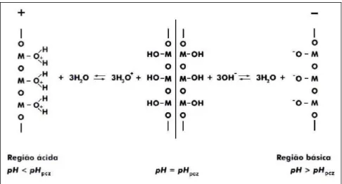 Figura 3.12  –  Comportamento da superfície de um óxido metálico em meio aquoso  [52] 