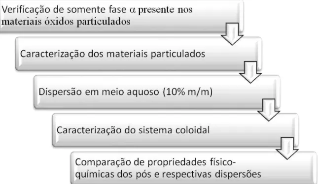 Figura 4.1  –  Etapas do procedimento deste trabalho 